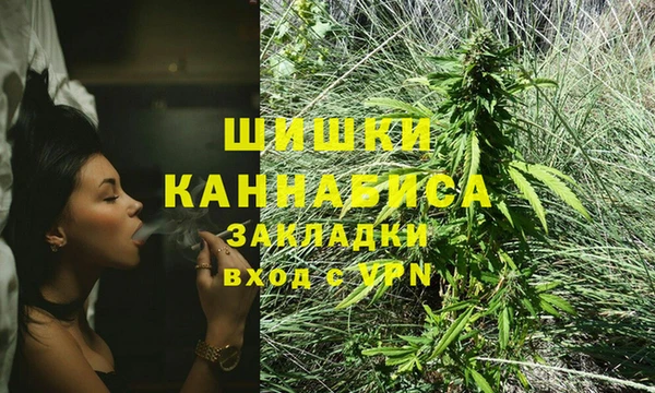 PSILOCYBIN Алексеевка