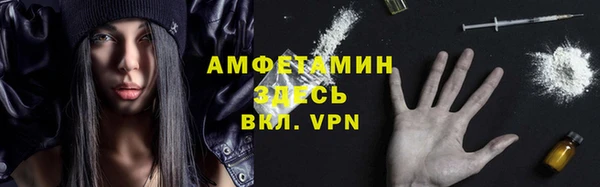 гидра Абаза