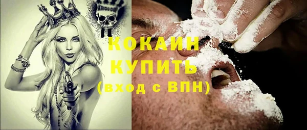 винт Алзамай