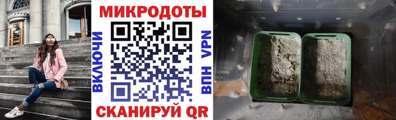 Псилоцибиновые грибы Psilocybe Лабытнанги