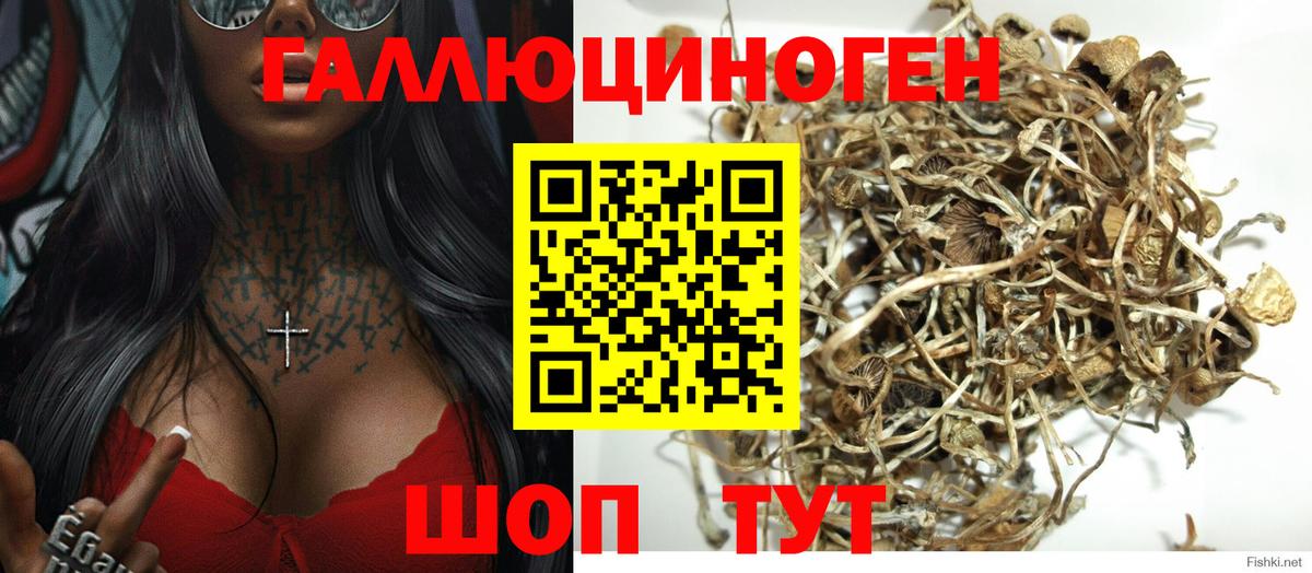 Псилоцибиновые грибы прущие грибы  Вход с VPN  Лабытнанги 